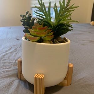 Cute plastic plant for your room/home decor